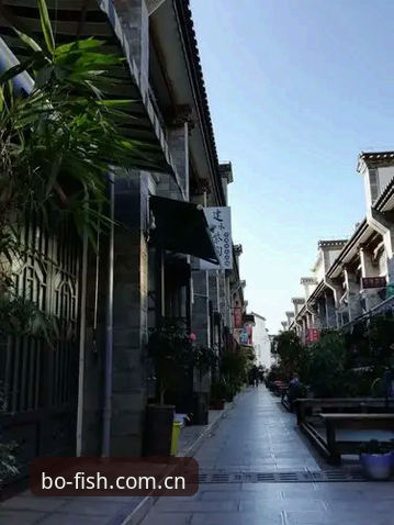 博鱼体育平台体验升级的5大关键步骤：从入口选择到账户安全全解析