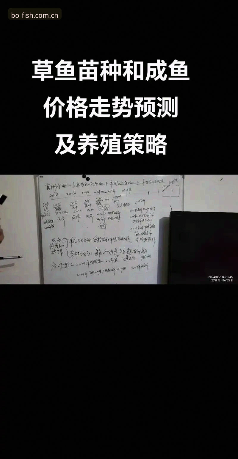 2026博鱼体育最新地址获取与使用教程：从下载到注册的全流程操作指南